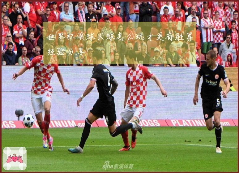 世界杯滚球买球怎么玩才更有胜算经验分享