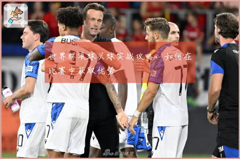 世界杯滚球买球实战攻略，如何在比赛中获取优势