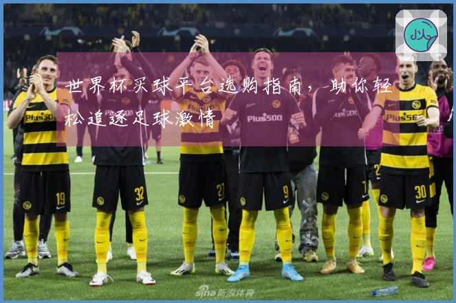 世界杯买球平台选购指南，助你轻松追逐足球激情