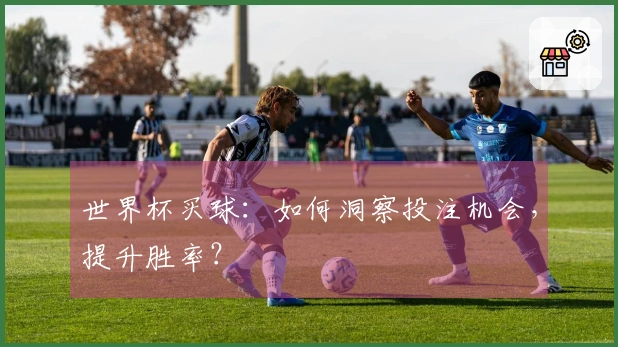世界杯买球：如何洞察投注机会，提升胜率？
