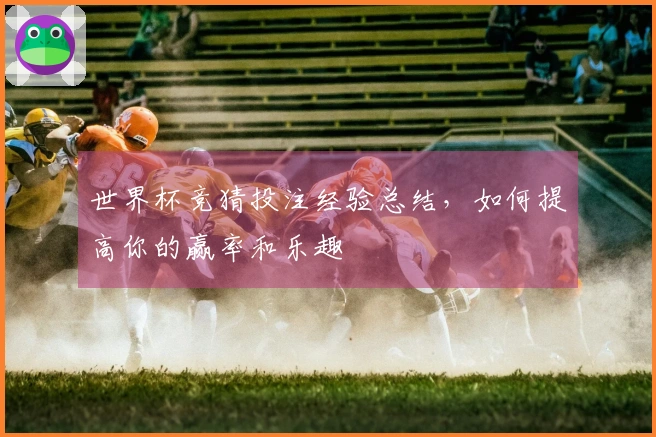 世界杯竞猜投注经验总结，如何提高你的赢率和乐趣